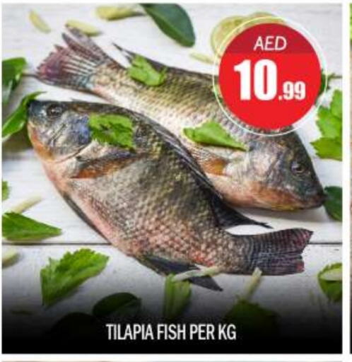 available at BIGmart in UAE - Abu Dhabi
