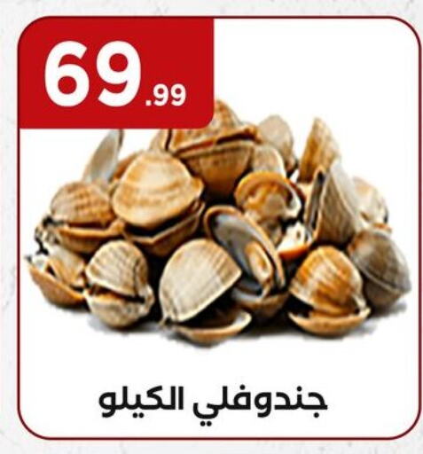 available at المحلاوي ستورز in Egypt - القاهرة