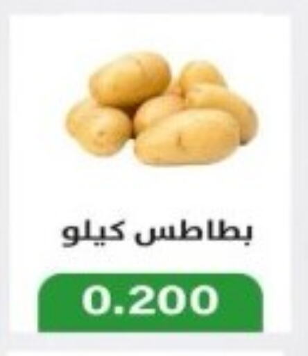 Potato available at Jleeb Coop in Kuwait - Kuwait City