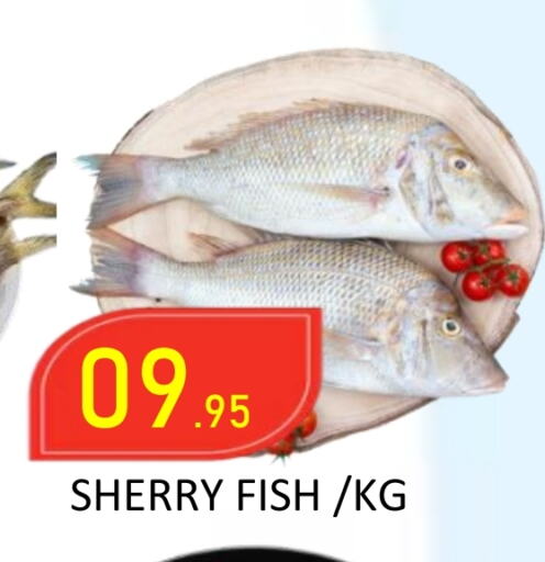 available at ROYAL GULF HYPERMARKET LLC in UAE - Abu Dhabi
