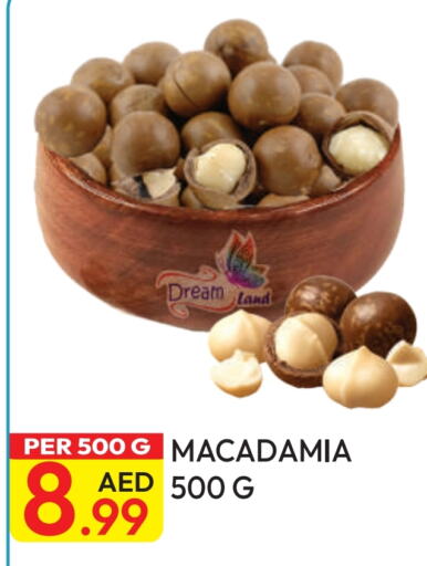 available at Dream Land in UAE - Dubai