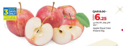 Apples from Poland available at LuLu Hypermarket in Qatar - Al Wakra