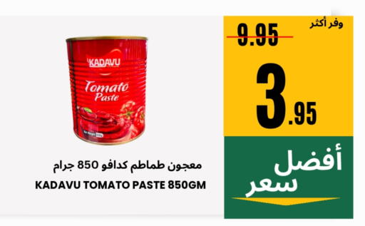Salts, Spices & Paste in Al Basma Al Khalida Markets, Saudi Arabia Offers - Saudi Arabia Tomato Paste available at Al Basma Al Khalida Markets in KSA, Saudi Arabia, Saudi - Khamis Mushait