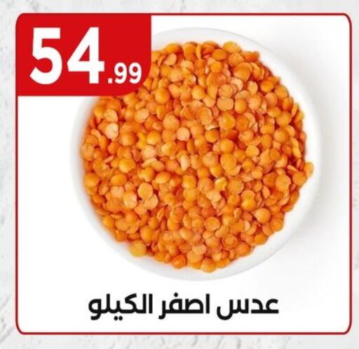 available at مارت فيل in Egypt - القاهرة