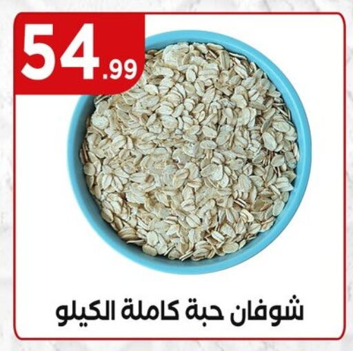 الحبوب والقطع in المحلاوي ستورز, Egypt Offers - Egypt الشوفان available at المحلاوي ستورز in Egypt - القاهرة