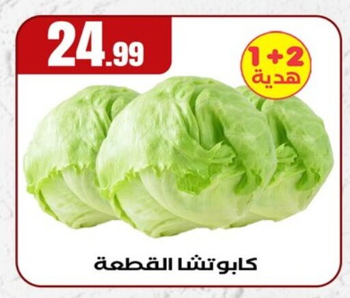 الخضروات الطازجة in المحلاوي ستورز, Egypt Offers - Egypt available at المحلاوي ستورز in Egypt - القاهرة