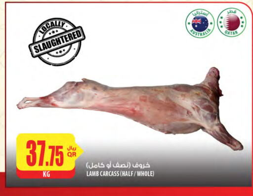 لحم الضأن / الغنم available at شركة الميرة للمواد الاستهلاكية in قطر - الضعاين
