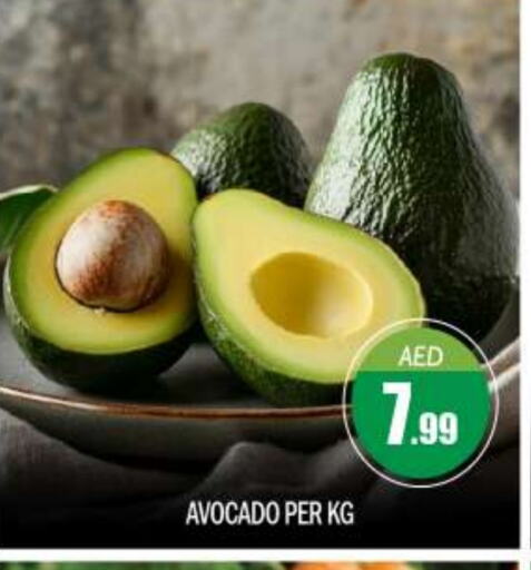 فاكهة طازجة in بيج مارت, UAE Offers - الإمارات العربية المتحدة أفوكادو available at بيج مارت in الإمارات العربية المتحدة , الامارات - أبو ظبي