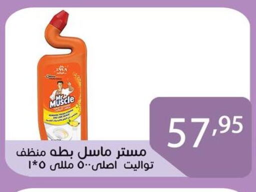 MR. MUSCLE General Cleaner available at Sun Mall in Egypt - Cairo