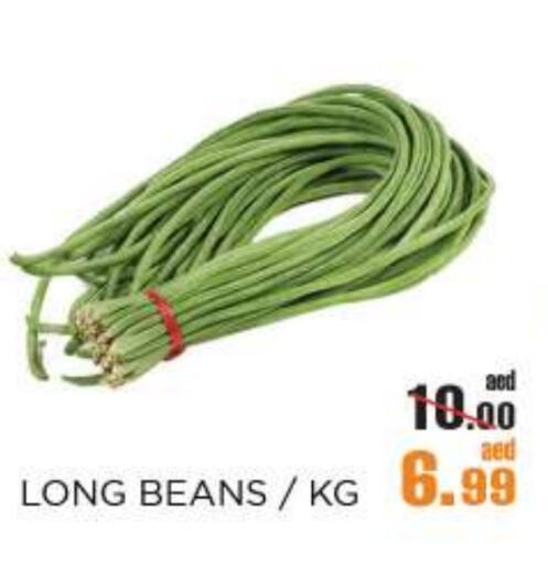 Fresh Vegetables in OK Hypermarket LLC SPC, UAE Offers - United Arab Emirates Beans available at OK Hypermarket LLC SPC in UAE - Abu Dhabi