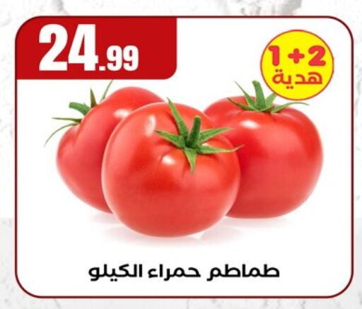 الخضروات الطازجة in المحلاوي ستورز, Egypt Offers - Egypt طماطم available at المحلاوي ستورز in Egypt - القاهرة