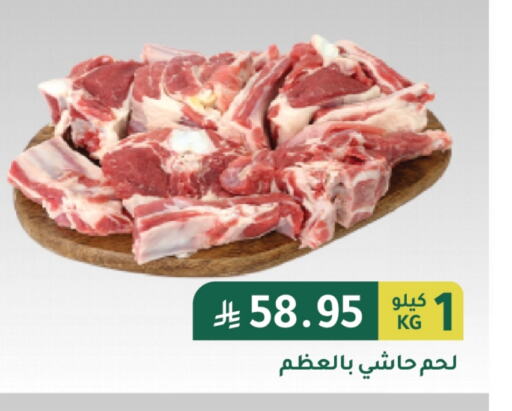 اللحوم الطازجة والمبردة in الهاجري الأغذية, المملكة العربية السعودية Offers - المملكة العربية السعودية available at الهاجري الأغذية in مملكة العربية السعودية, السعودية, سعودية - خميس مشيط