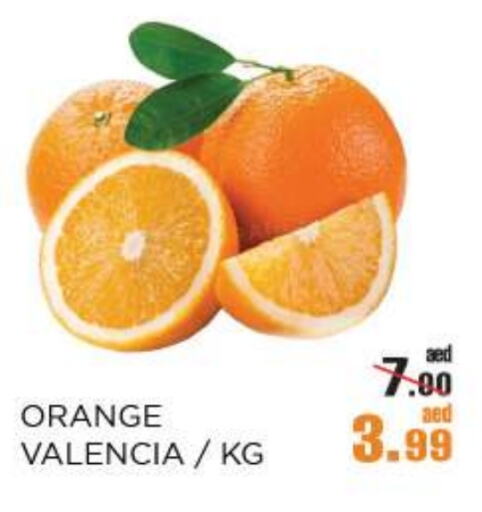 Fresh Fruits in OK Hypermarket LLC SPC, UAE Offers - United Arab Emirates Orange available at OK Hypermarket LLC SPC in UAE - Abu Dhabi