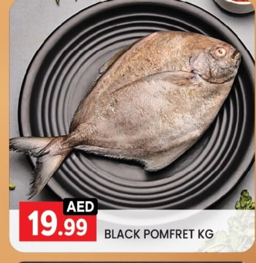 Fresh Fish in LIYAKKAS HYPERMARKET LLC, UAE Offers - United Arab Emirates available at LIYAKKAS HYPERMARKET LLC in UAE - Abu Dhabi