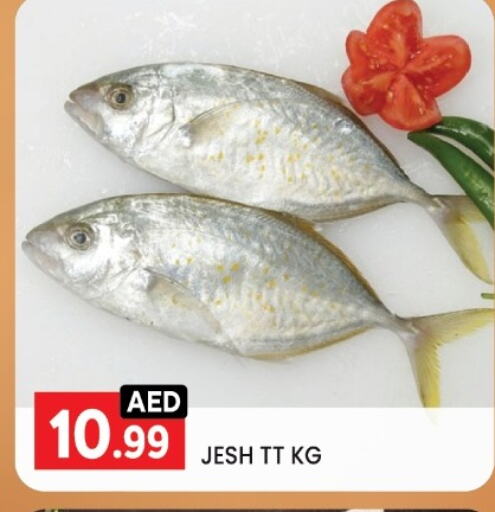 Fresh Fish in LIYAKKAS HYPERMARKET LLC, UAE Offers - United Arab Emirates available at LIYAKKAS HYPERMARKET LLC in UAE - Abu Dhabi