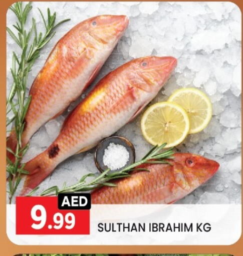 Fresh Fish in LIYAKKAS HYPERMARKET LLC, UAE Offers - United Arab Emirates available at LIYAKKAS HYPERMARKET LLC in UAE - Abu Dhabi