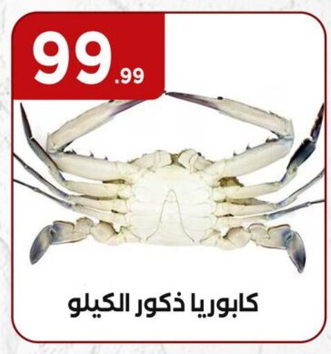 available at المحلاوي ستورز in Egypt - القاهرة