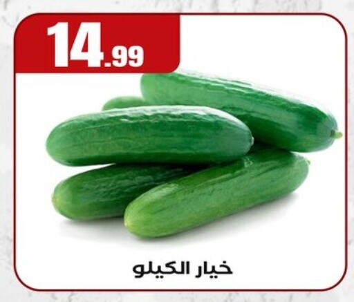 الخضروات الطازجة in المحلاوي ستورز, Egypt Offers - Egypt خيار available at المحلاوي ستورز in Egypt - القاهرة