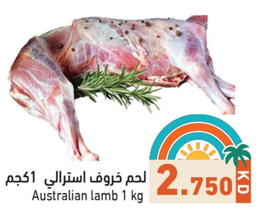 Meat - Fresh & Chilled in Ramez, Kuwait Offers - Kuwait Mutton / Lamb available at Ramez in Kuwait - Ahmadi Governorate