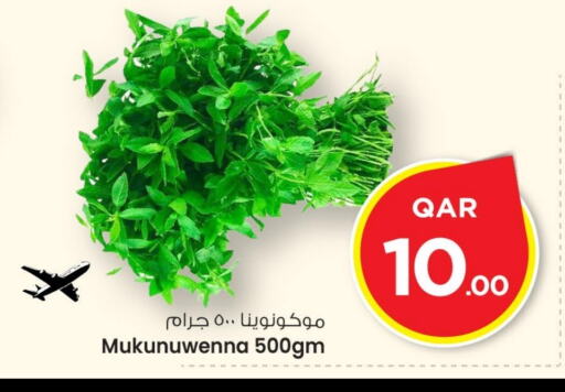 available at مارك & سيف in قطر - الشمال
