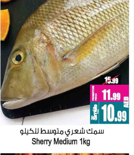 available at أنصار مول in الإمارات العربية المتحدة , الامارات - الشارقة / عجمان