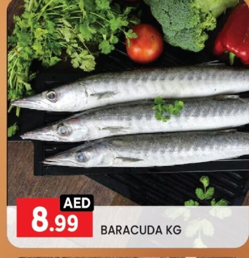 Fresh Fish in LIYAKKAS HYPERMARKET LLC, UAE Offers - United Arab Emirates available at LIYAKKAS HYPERMARKET LLC in UAE - Abu Dhabi