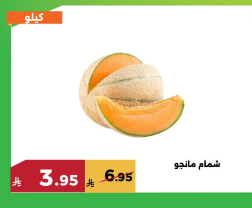 Fresh Fruits in Forat Garden, Saudi Arabia Offers - Saudi Arabia Sweet melon available at Forat Garden in KSA, Saudi Arabia, Saudi - Mecca