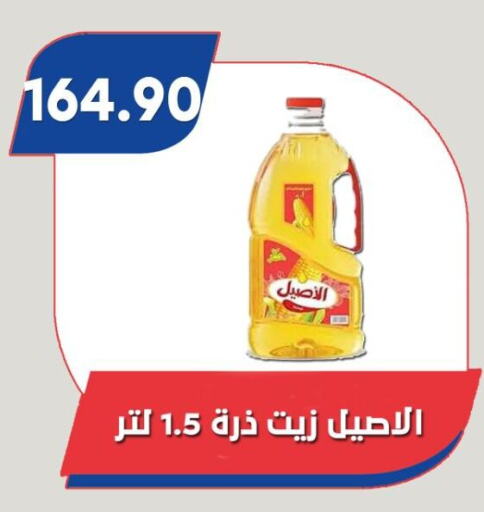 زيوت و سمن in باسم ماركت, Egypt Offers - Egypt زيت الذرة available at باسم ماركت in Egypt - القاهرة