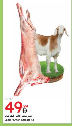 لحم الضأن / الغنم available at جمعية الامارات التعاونية in الإمارات العربية المتحدة , الامارات - دبي