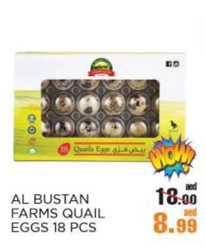available at OK Hypermarket LLC SPC in UAE - Abu Dhabi