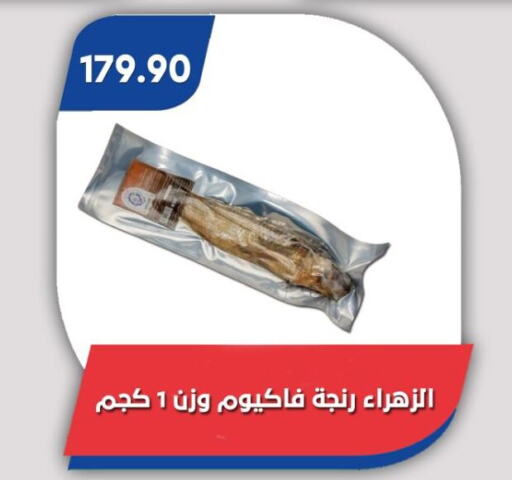 الأسماك الطازجة in باسم ماركت, Egypt Offers - Egypt available at باسم ماركت in Egypt - القاهرة