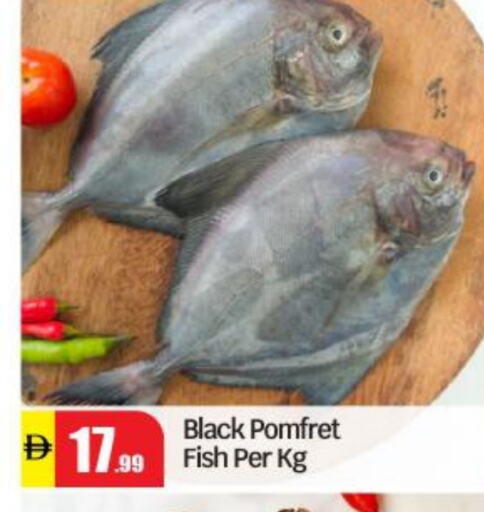 available at BIGmart in UAE - Abu Dhabi