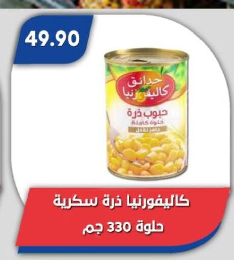 CALIFORNIA GARDEN available at Bassem Market in Egypt - Cairo