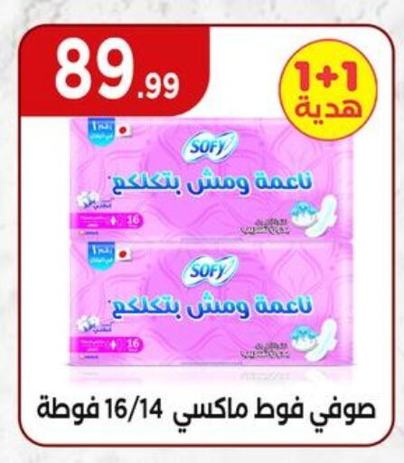 النظافة الشخصية النسائية in المحلاوي ستورز, Egypt Offers - Egypt صوفي available at المحلاوي ستورز in Egypt - القاهرة