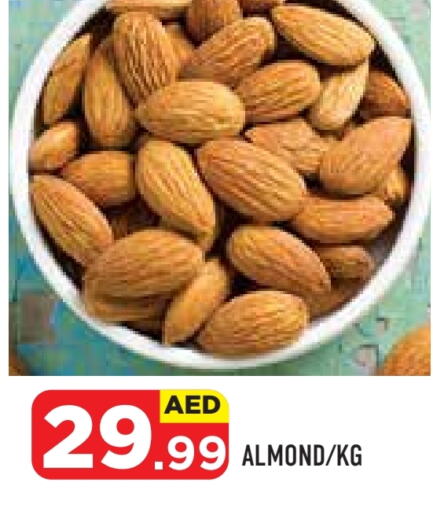available at سنابل بني ياس in الإمارات العربية المتحدة , الامارات - أبو ظبي