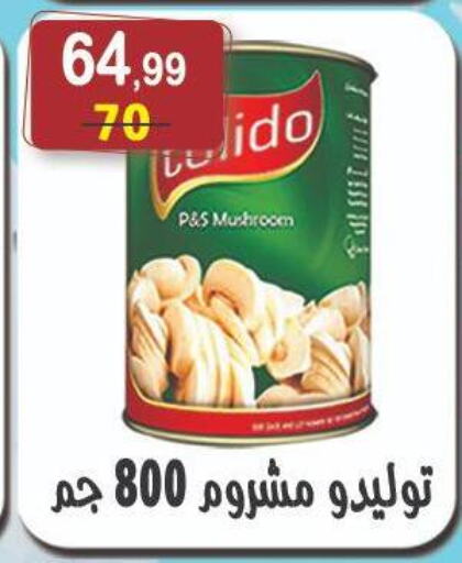 أغذية معلبة ومغلفة in هايبر النسر, Egypt Offers - Egypt Mushroom available at هايبر النسر in Egypt - القاهرة