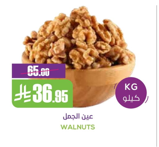Dried Fruits & Dates in Sapt, Saudi Arabia Offers - Saudi Arabia available at Sapt in KSA, Saudi Arabia, Saudi - Buraidah