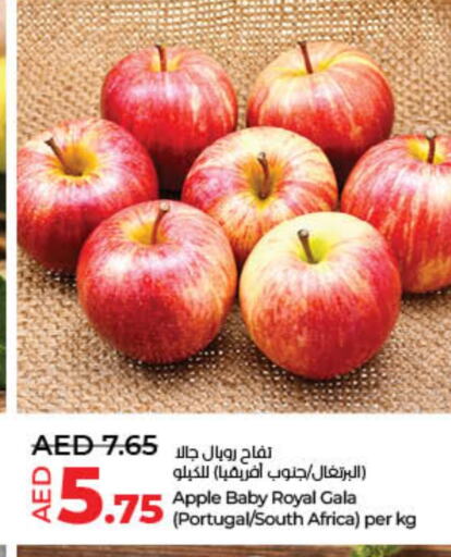 تفاح from Portugal South Africa available at لولو هايبرماركت in الإمارات العربية المتحدة , الامارات - ٱلْفُجَيْرَة‎