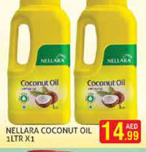 Coconut available at Palm Hypermarket Muhaisina LLC in UAE - Dubai