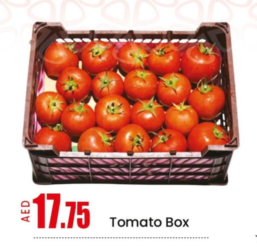 Tomato available at Mango Hypermarket LLC in UAE - Dubai