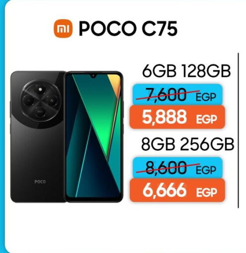 بلاك فيو available at دريم٢٠٠٠ in Egypt - القاهرة