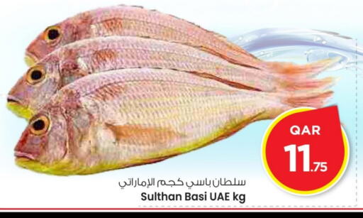 available at مارك in قطر - الدوحة