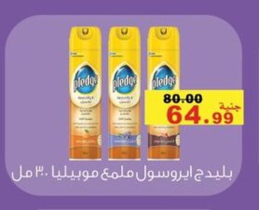 PLEDGE available at El Rady Mall in Egypt - Cairo