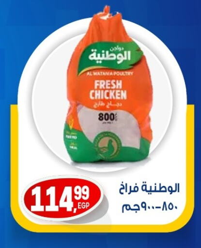 دجاج in أولاد المحاوى, Egypt Offers - Egypt دجاج كامل طازج available at أولاد المحاوى in Egypt - القاهرة