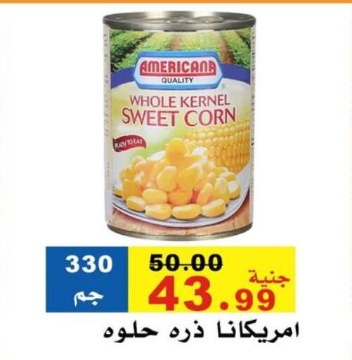 Canned & Packeted in El Rady Mall, Egypt Offers - Egypt AMERICANA available at El Rady Mall in Egypt - Cairo