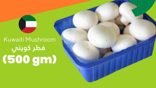 فطر from Kuwait available at توصيل  in الكويت - محافظة الأحمدي