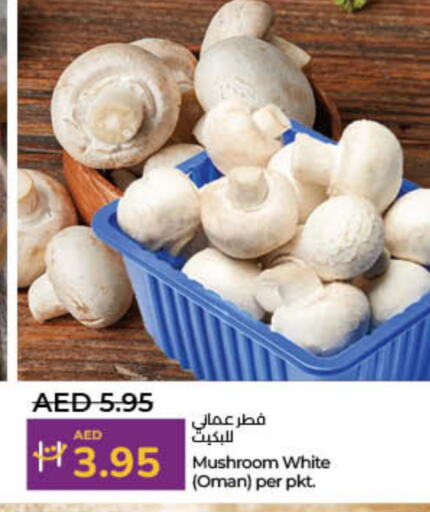 Mushroom from Oman available at Lulu Hypermarket in UAE - Umm al Quwain