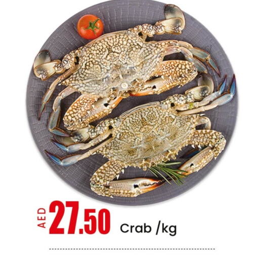Fresh Fish in Mango Hypermarket LLC, UAE Offers - United Arab Emirates Mango available at Mango Hypermarket LLC in UAE - Ras al Khaimah