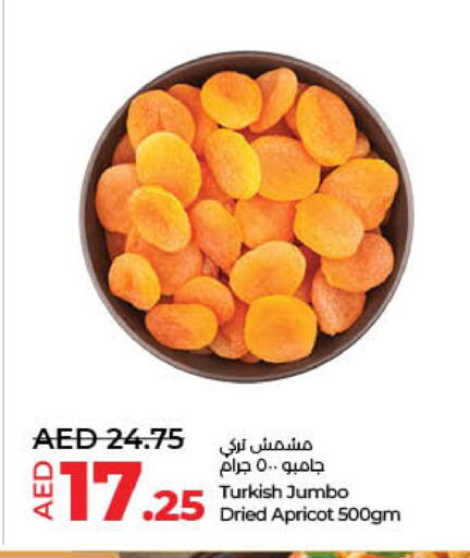 الفواكه المجففة و التمور in لولو هايبرماركت, UAE Offers - الإمارات العربية المتحدة Apricot available at لولو هايبرماركت in الإمارات العربية المتحدة , الامارات - الشارقة / عجمان