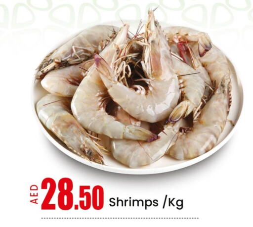Fresh Fish in Mango Hypermarket LLC, UAE Offers - United Arab Emirates Mango available at Mango Hypermarket LLC in UAE - Ras al Khaimah